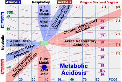 Pure Metabolic Acidosis